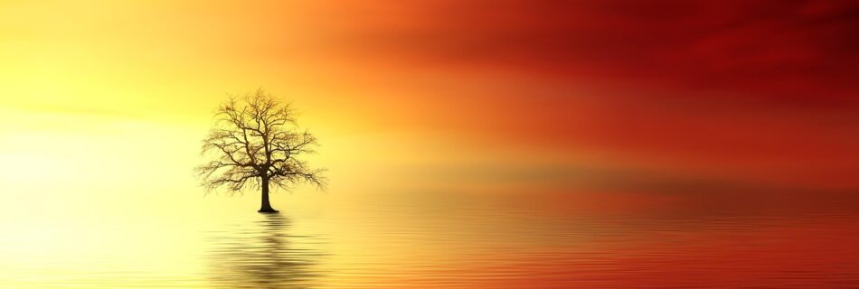 erwachen und verschmelzen