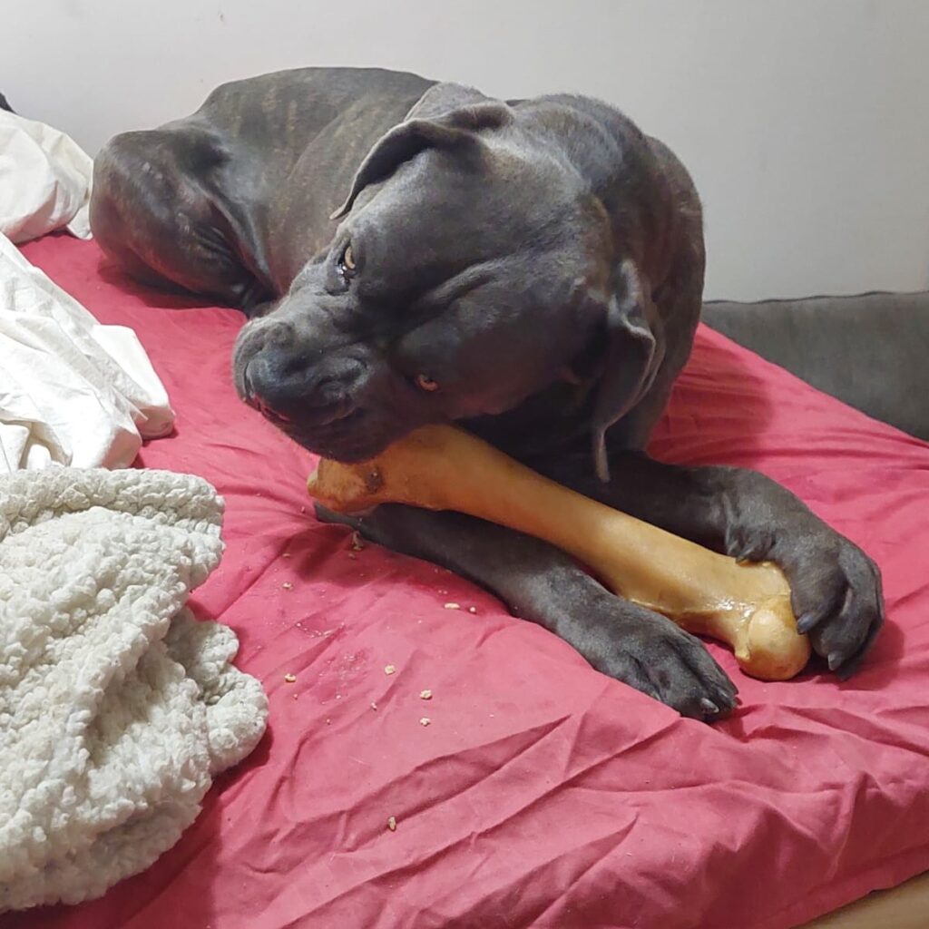 Reklamationsabteilung